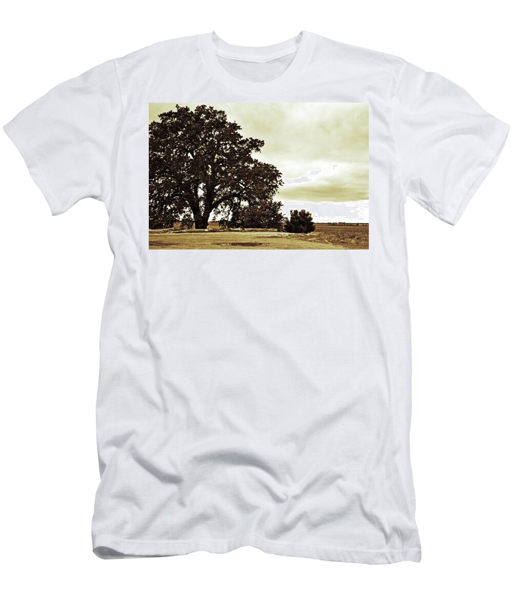 Tree T-Shirt featuring the photograph Tree At End of Runway by Holly Blunkall