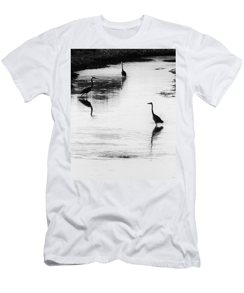 Great Blue Heron T-Shirt featuring the photograph Trilogy - Black and White by Belinda Greb