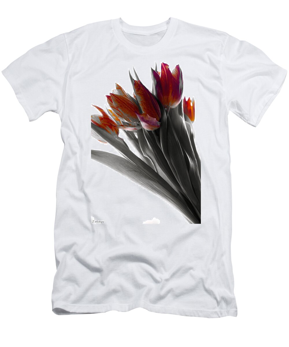 Tulips T-Shirt featuring the photograph Tulip Color Block by Joseph Hedaya