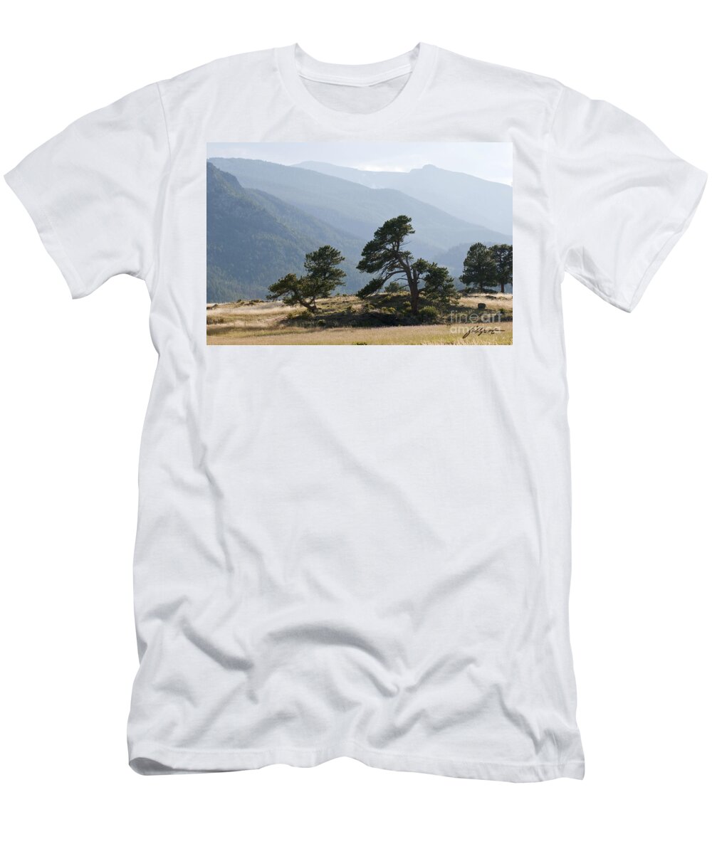 Pine Trees T-Shirt featuring the photograph Twisted Pines by Bon and Jim Fillpot