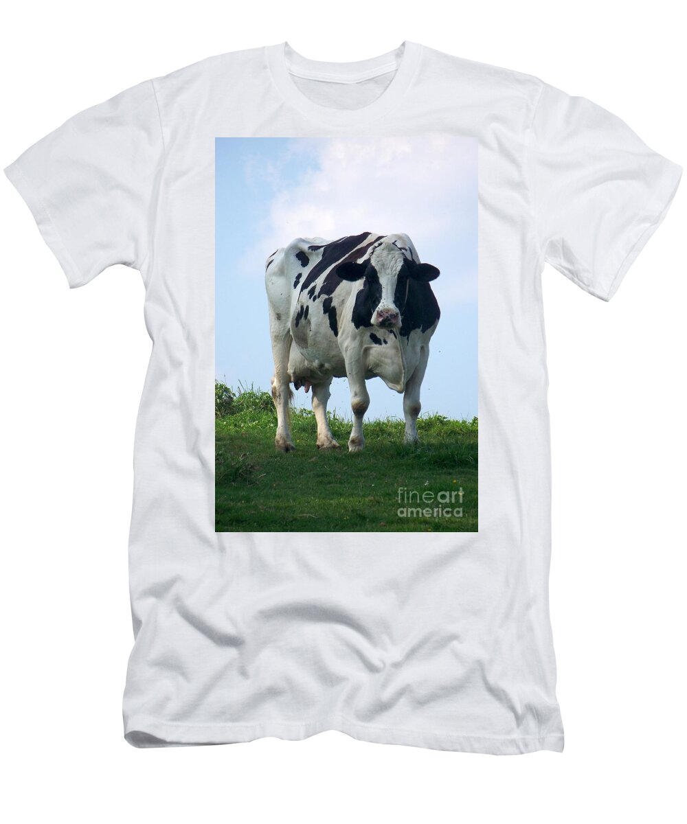 Cows T-Shirt featuring the photograph Vermont Dairy Cow by Eunice Miller