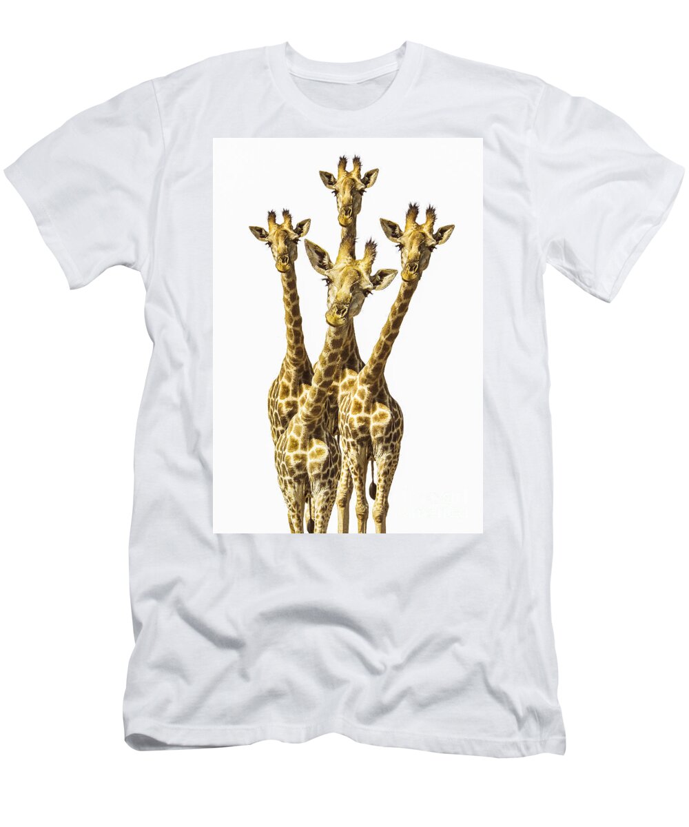 Giraffe T-Shirt featuring the photograph What are YOU looking at? by Diane Diederich