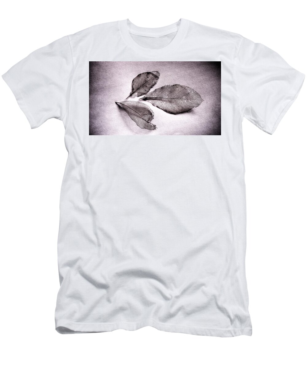 What Living Leaves Hide T-Shirt featuring the photograph What Living Leaves Hide No Text by Weston Westmoreland