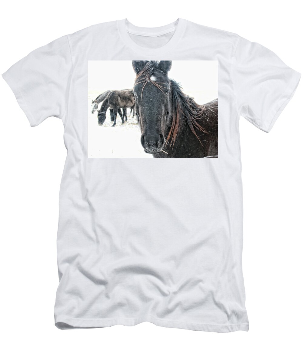 Blizzard T-Shirt featuring the photograph White Out by Alan Hutchins