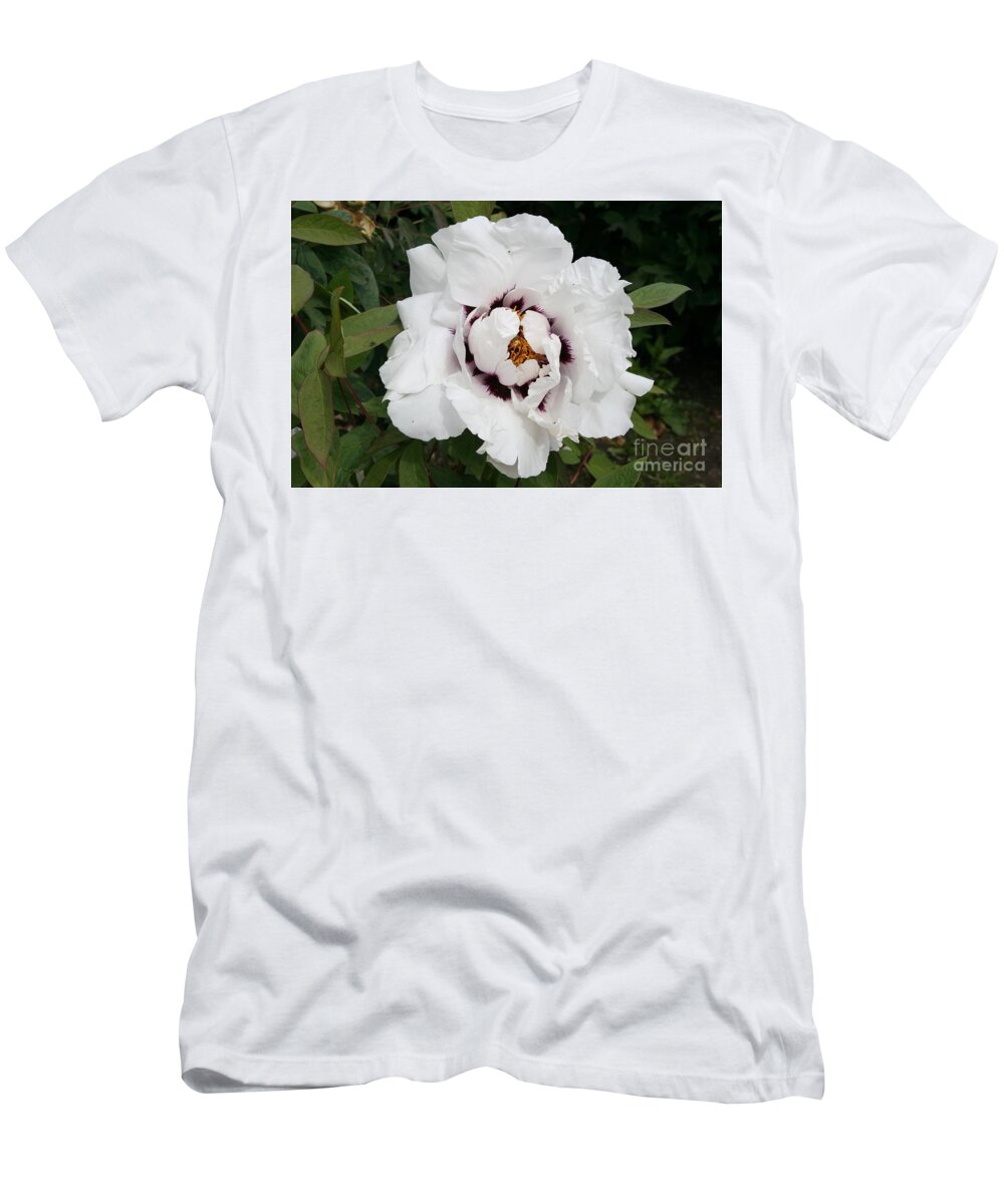 Flowers T-Shirt featuring the photograph White Peony #2 by Christiane Schulze Art And Photography