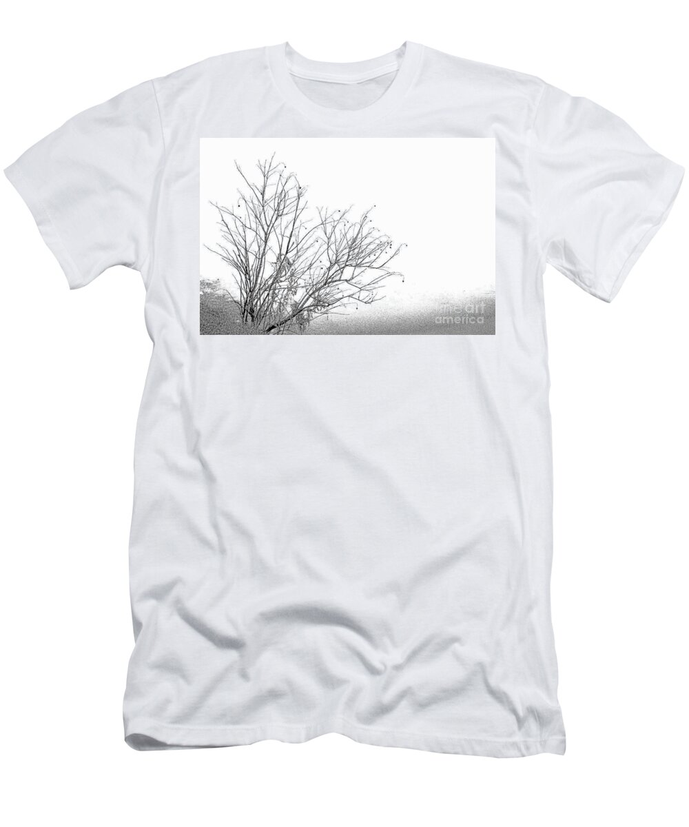 Bare Tree T-Shirt featuring the photograph Winter Tree by Diane Macdonald