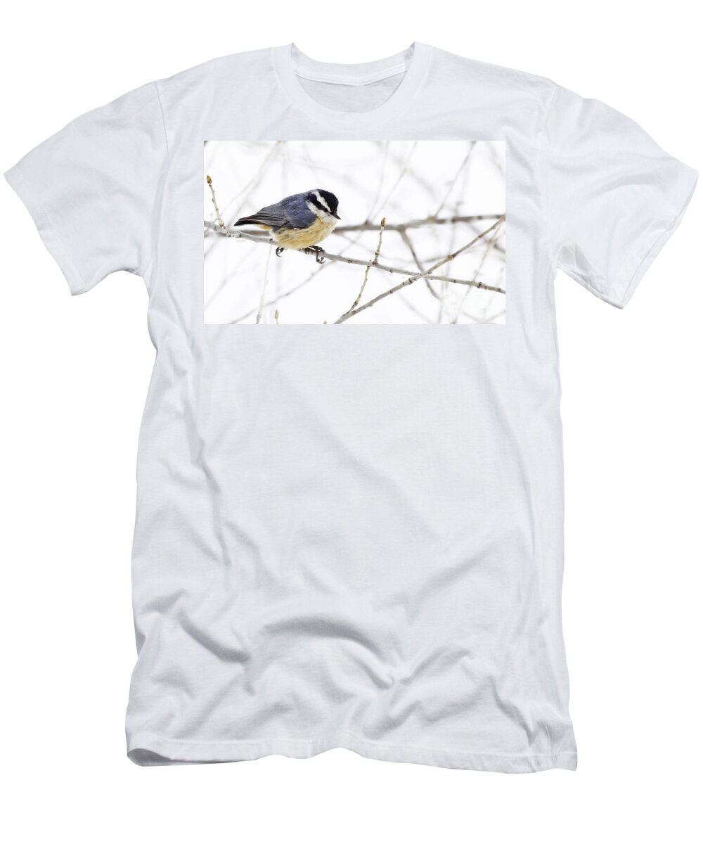 Nuthatch T-Shirt featuring the photograph Winter Day by Jan Killian