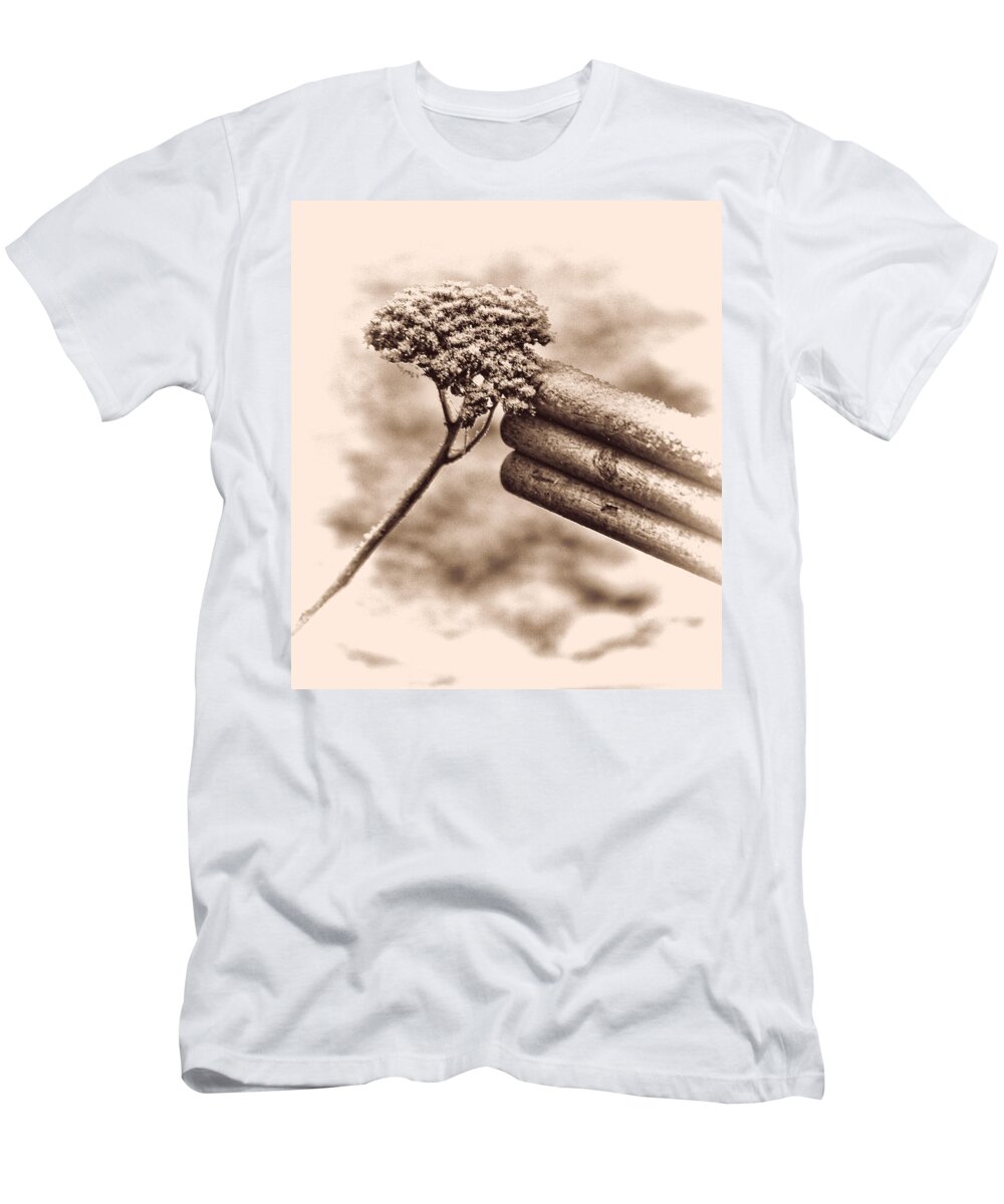 Frost T-Shirt featuring the photograph Winter Frost by Ron Roberts