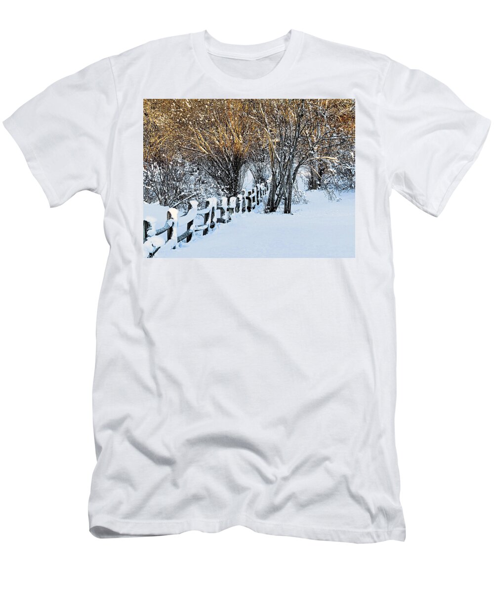 Winter T-Shirt featuring the photograph Winter Gold and White by Janice Drew