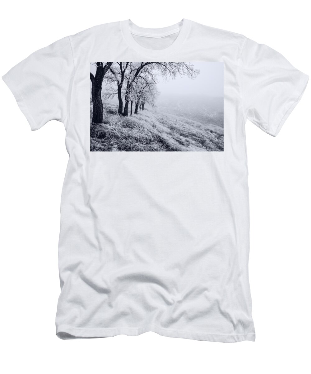 Fog T-Shirt featuring the photograph Winter trees with frost in Idaho by Vishwanath Bhat