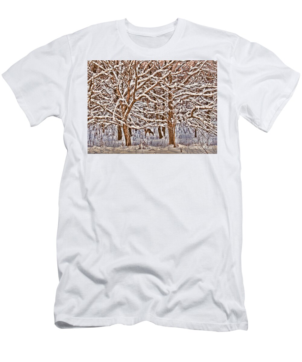 Whitetail Deer T-Shirt featuring the photograph Winter's Arrival by Elizabeth Winter