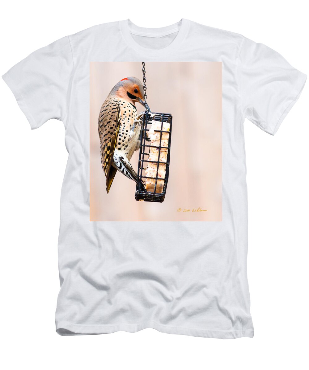 Heron Heaven T-Shirt featuring the photograph Yellow-shafted Northern Flicker Lunch by Ed Peterson