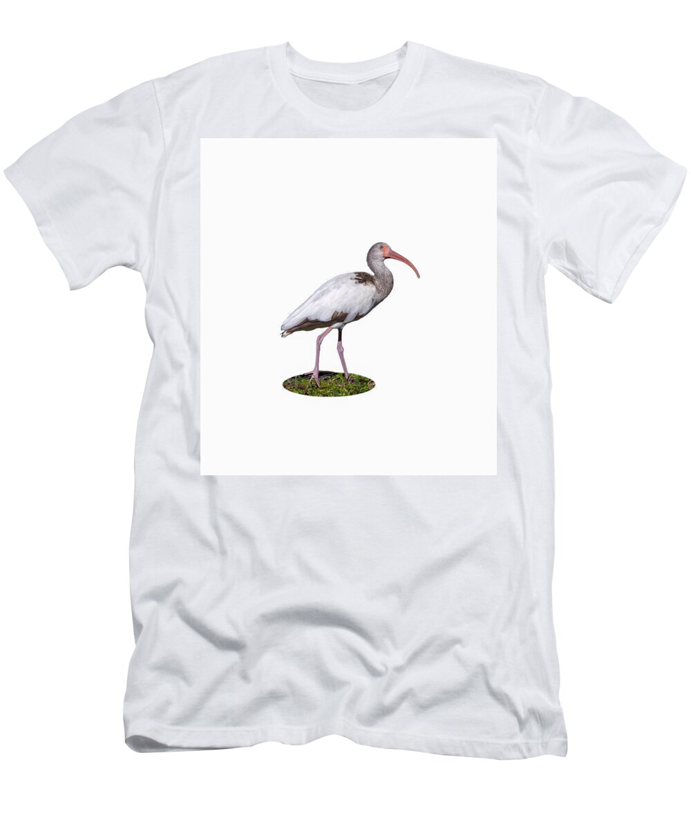 Bird T-Shirt featuring the photograph Young Ibis Gazing Upwards by John M Bailey