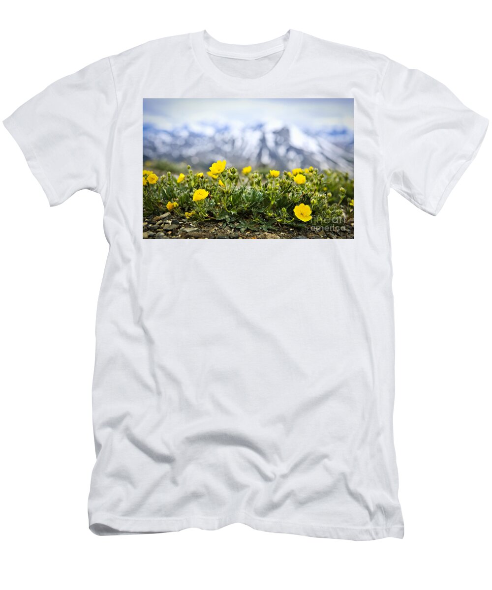 Alpine T-Shirt featuring the photograph Alpine meadow in Jasper National Park 4 by Elena Elisseeva