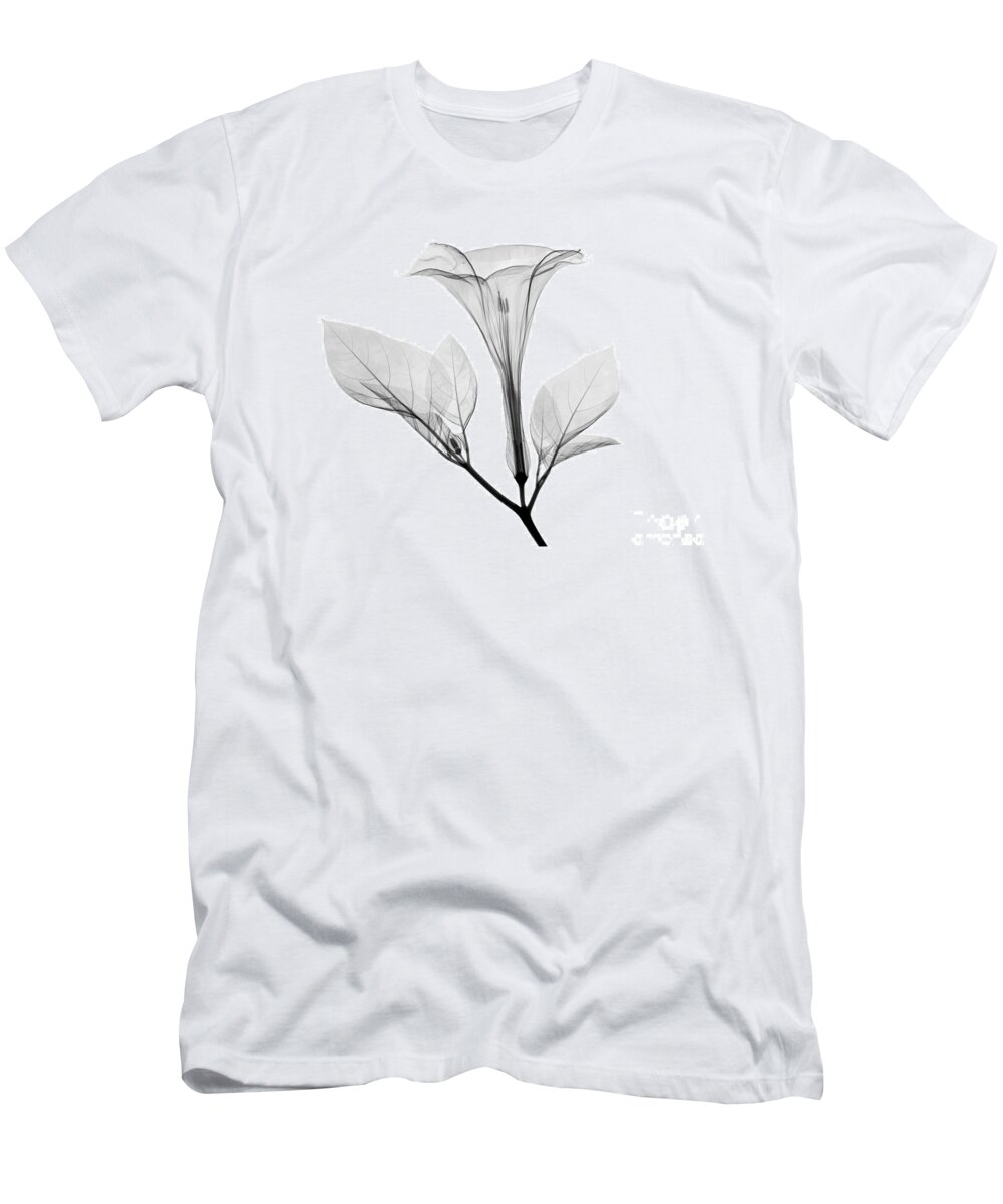 Xray T-Shirt featuring the photograph An X-ray Of A Datura Flower #1 by Ted Kinsman