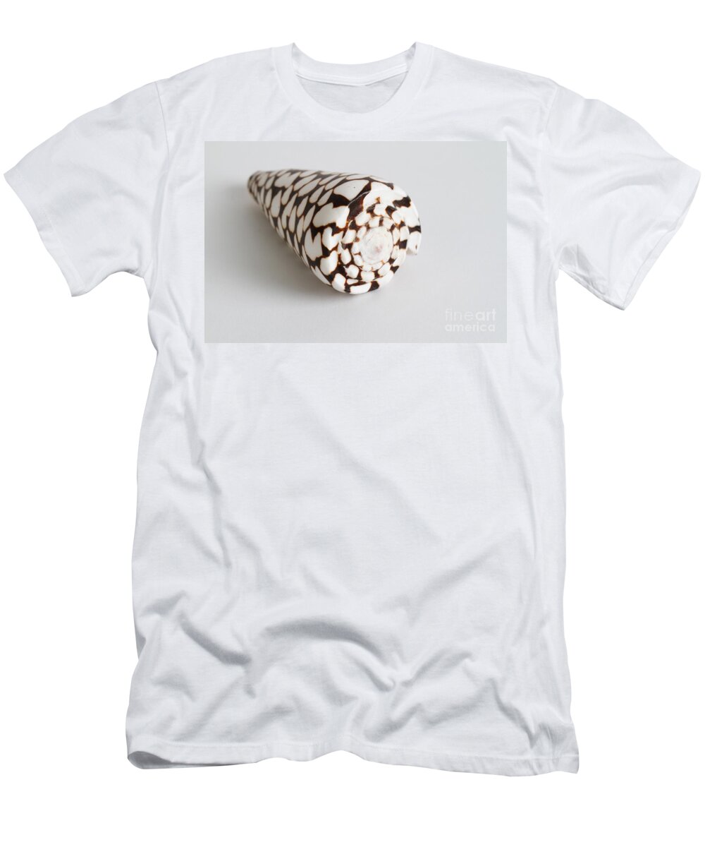 Nature T-Shirt featuring the photograph Marbled Cone Shell #1 by Photo Researchers
