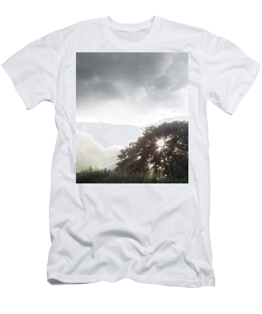 Sun Beams T-Shirt featuring the photograph Morning sunlight #1 by Les Cunliffe