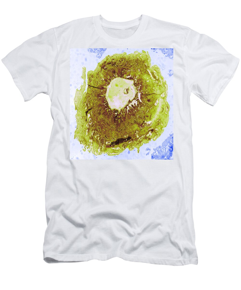 Fertilized T-Shirt featuring the photograph Tem Of Human Ovum #1 by Omikron