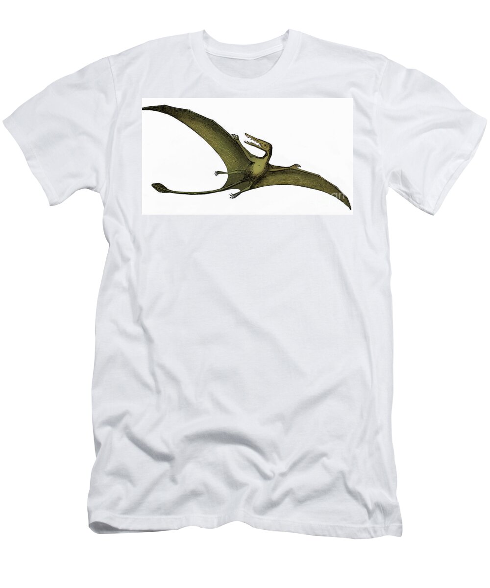 Prehistory T-Shirt featuring the photograph Pterodactyl Extinct Flying Reptile #5 by Science Source