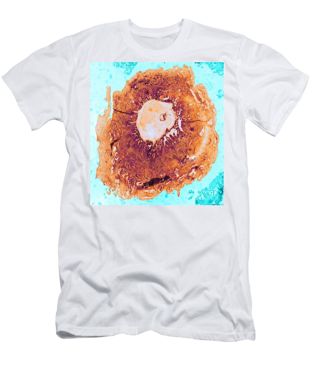 Fertilized T-Shirt featuring the photograph Tem Of Human Ovum #2 by Omikron