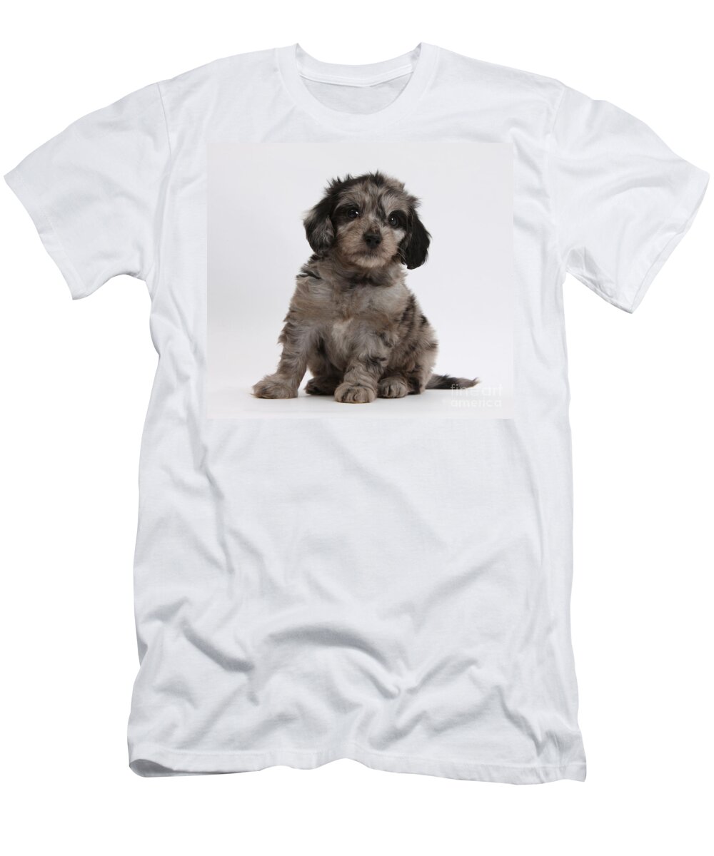 Nature T-Shirt featuring the Doxie-doodle Puppy #4 by Mark Taylor