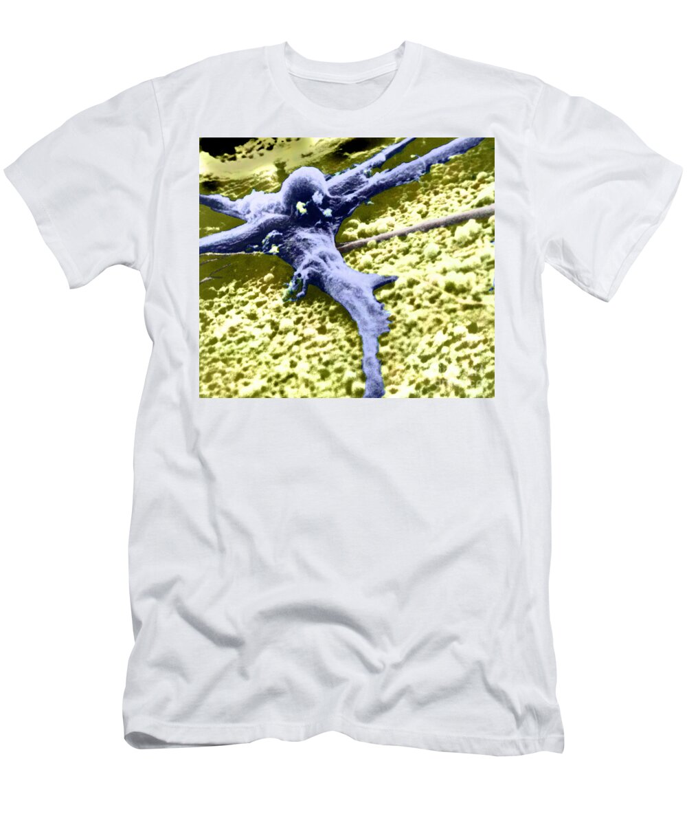 Cancer T-Shirt featuring the photograph Malignant Cancer Cell #4 by Omikron