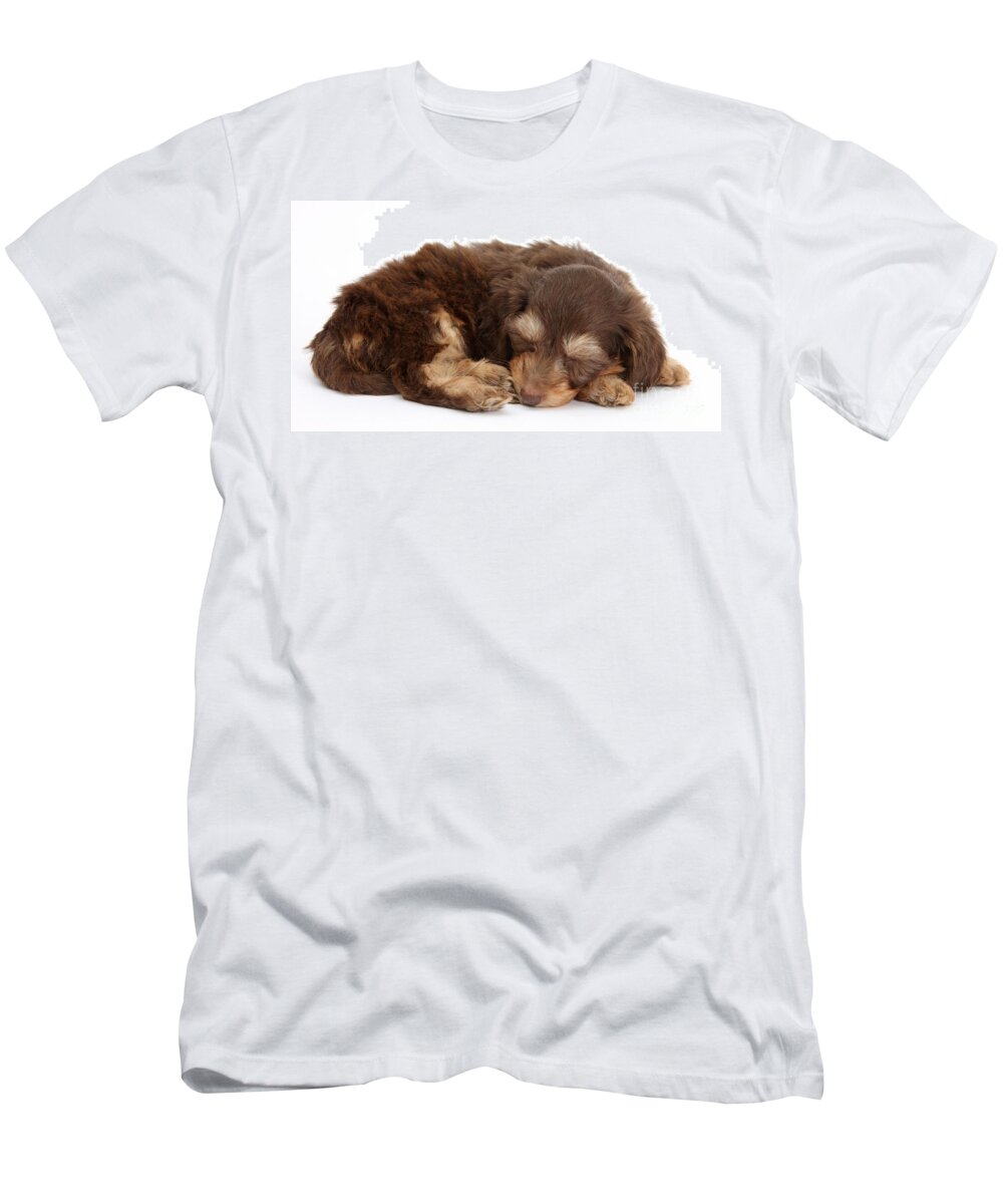 Animal T-Shirt featuring the photograph Doxie-doodle Puppies #5 by Mark Taylor
