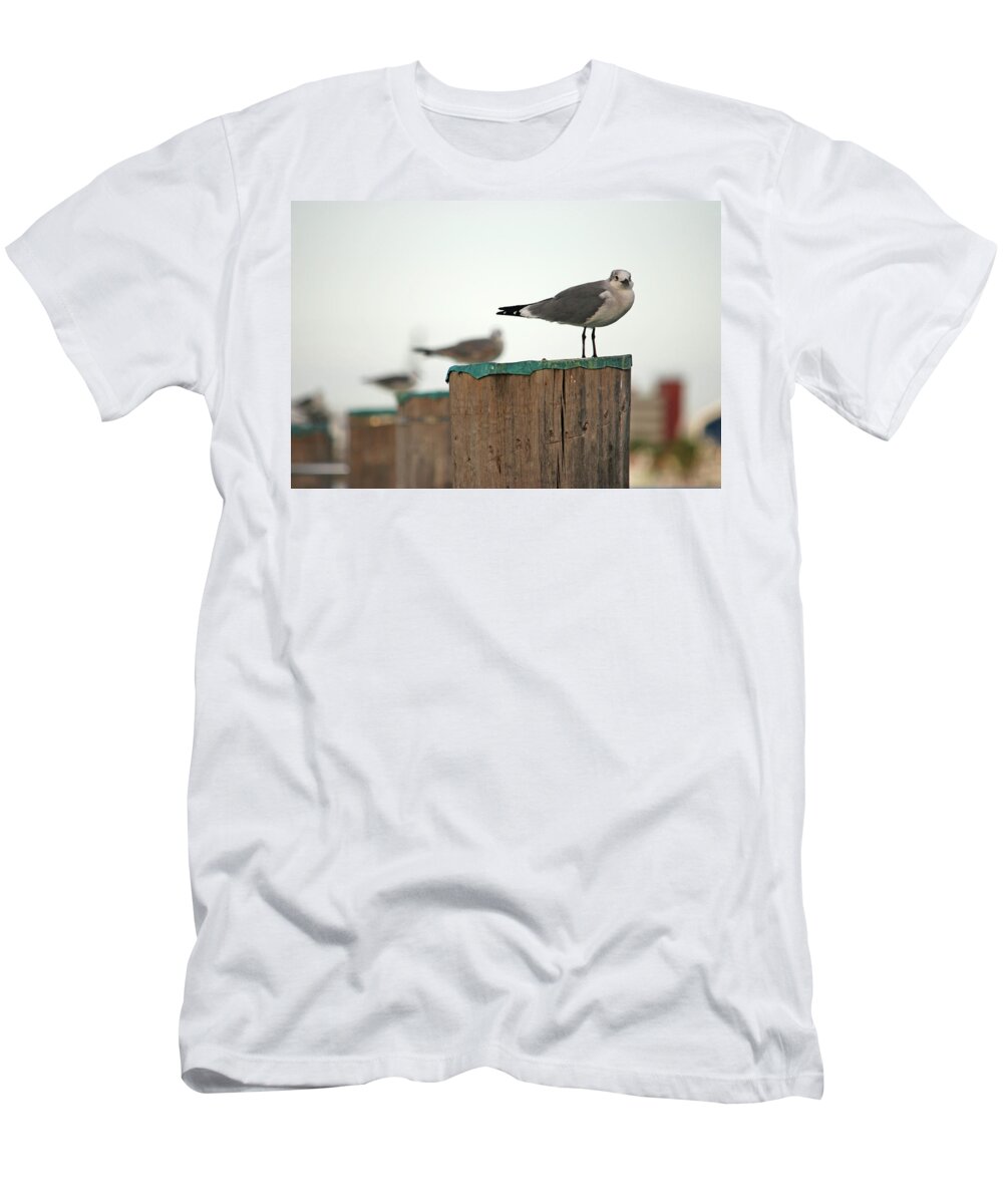 Seagulls T-Shirt featuring the photograph 5- Pre-Launch by Joseph Keane