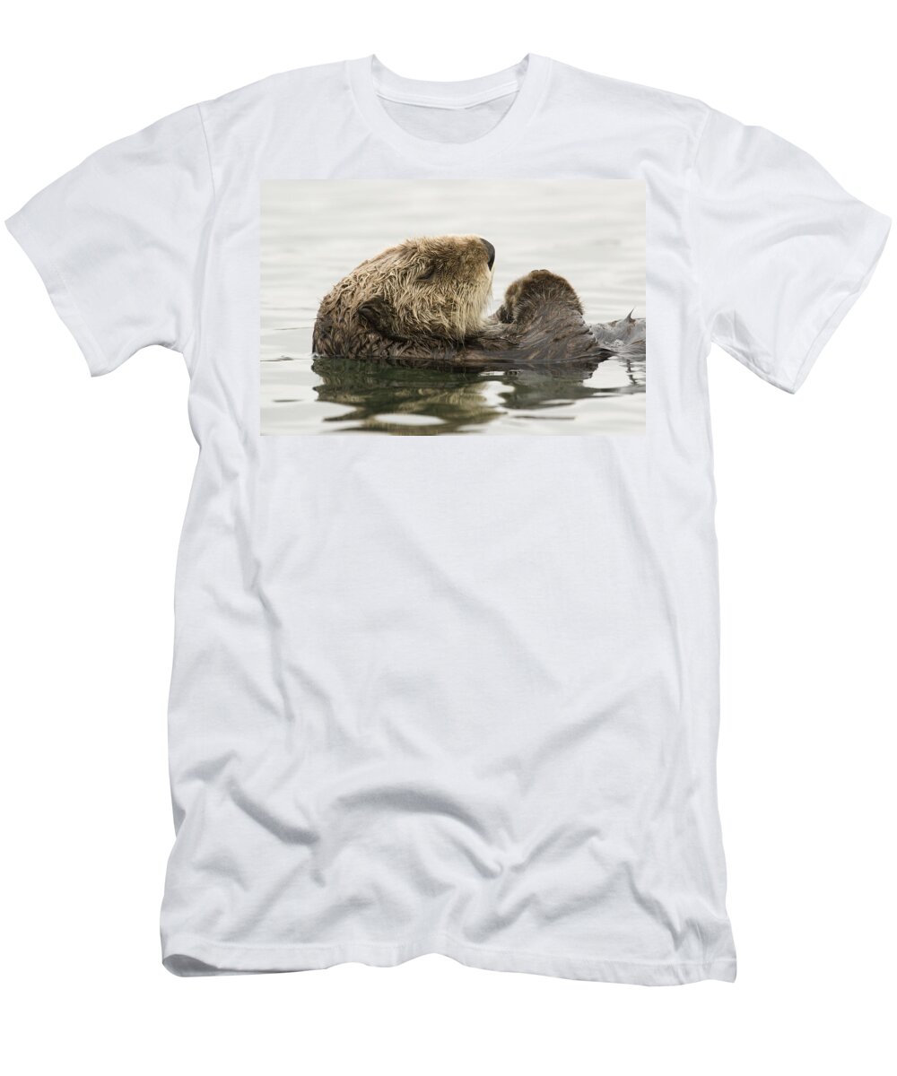00429871 T-Shirt featuring the photograph Sea Otter Elkhorn Slough Monterey Bay #5 by Sebastian Kennerknecht