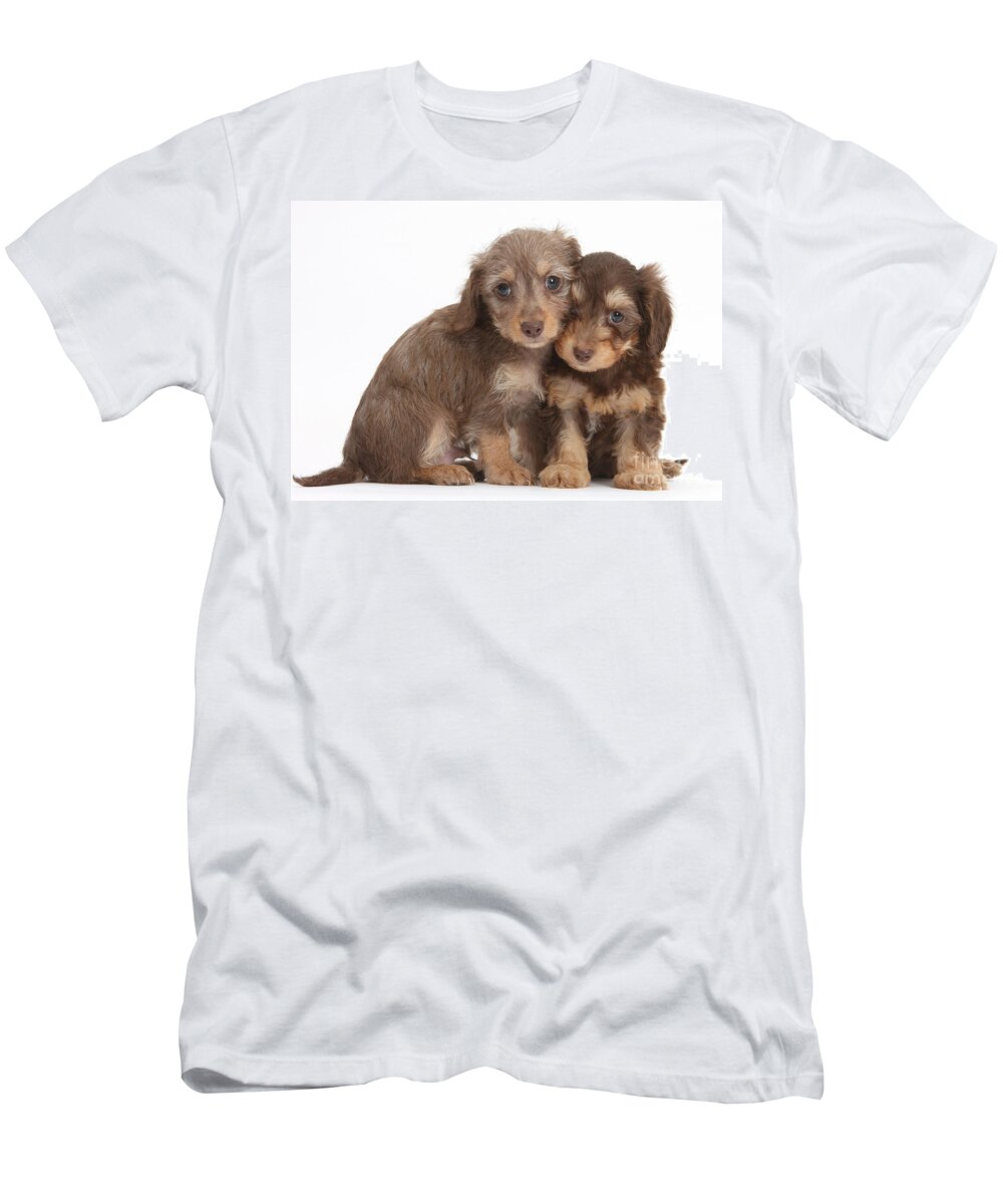 Animal T-Shirt featuring the photograph Doxie-doodle Puppies #6 by Mark Taylor