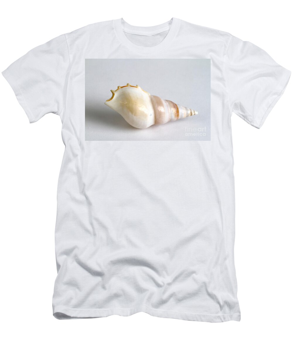 Nature T-Shirt featuring the photograph Seashell #8 by Photo Researchers