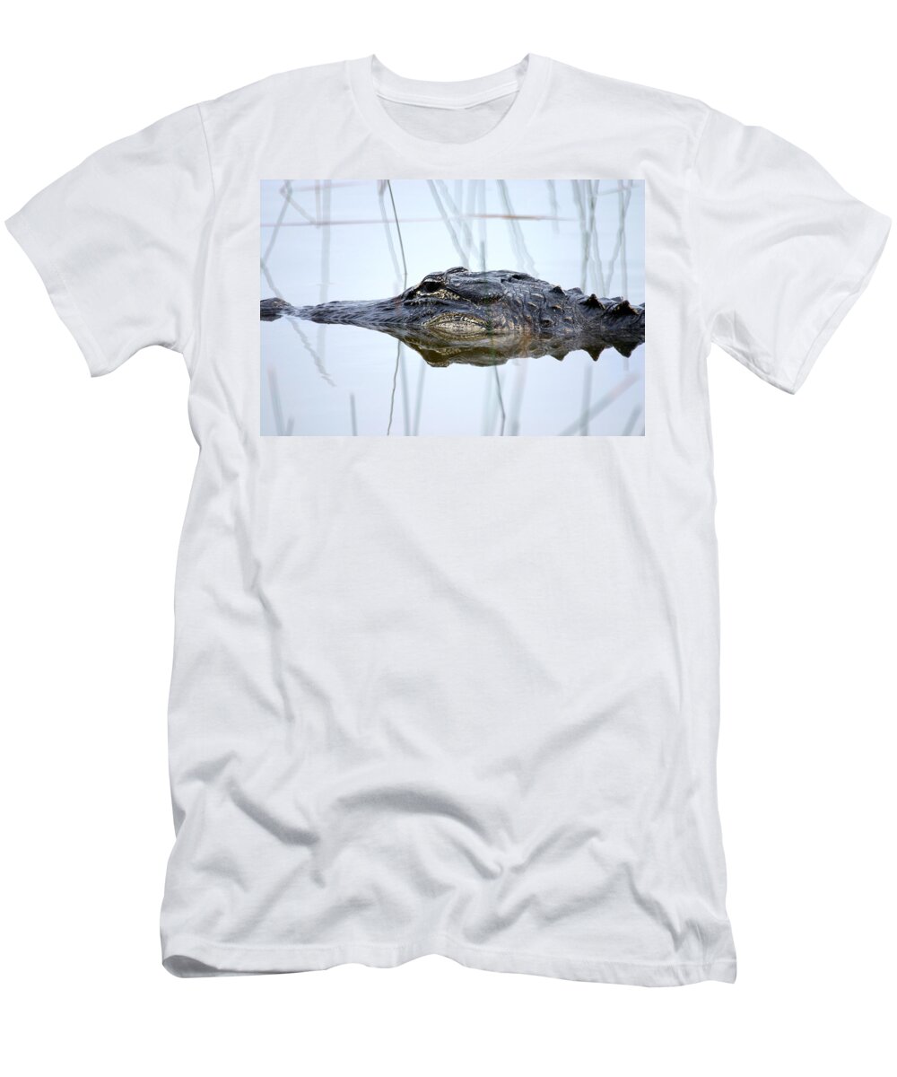 Art T-Shirt featuring the photograph Alligator in the Everglades by Randall Nyhof