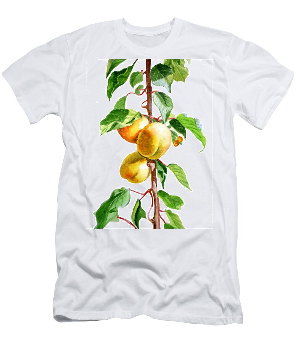 Apricot T-Shirt featuring the painting Apricots by Irina Sztukowski