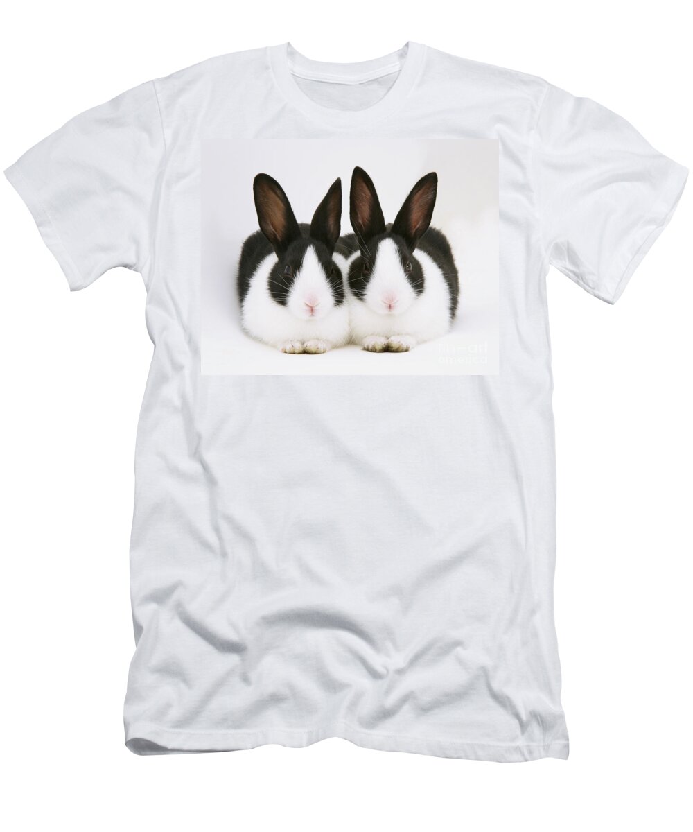 Black-and-white Dutch Rabbit T-Shirt featuring the photograph Baby Black-and-white Dutch Rabbits by Jane Burton