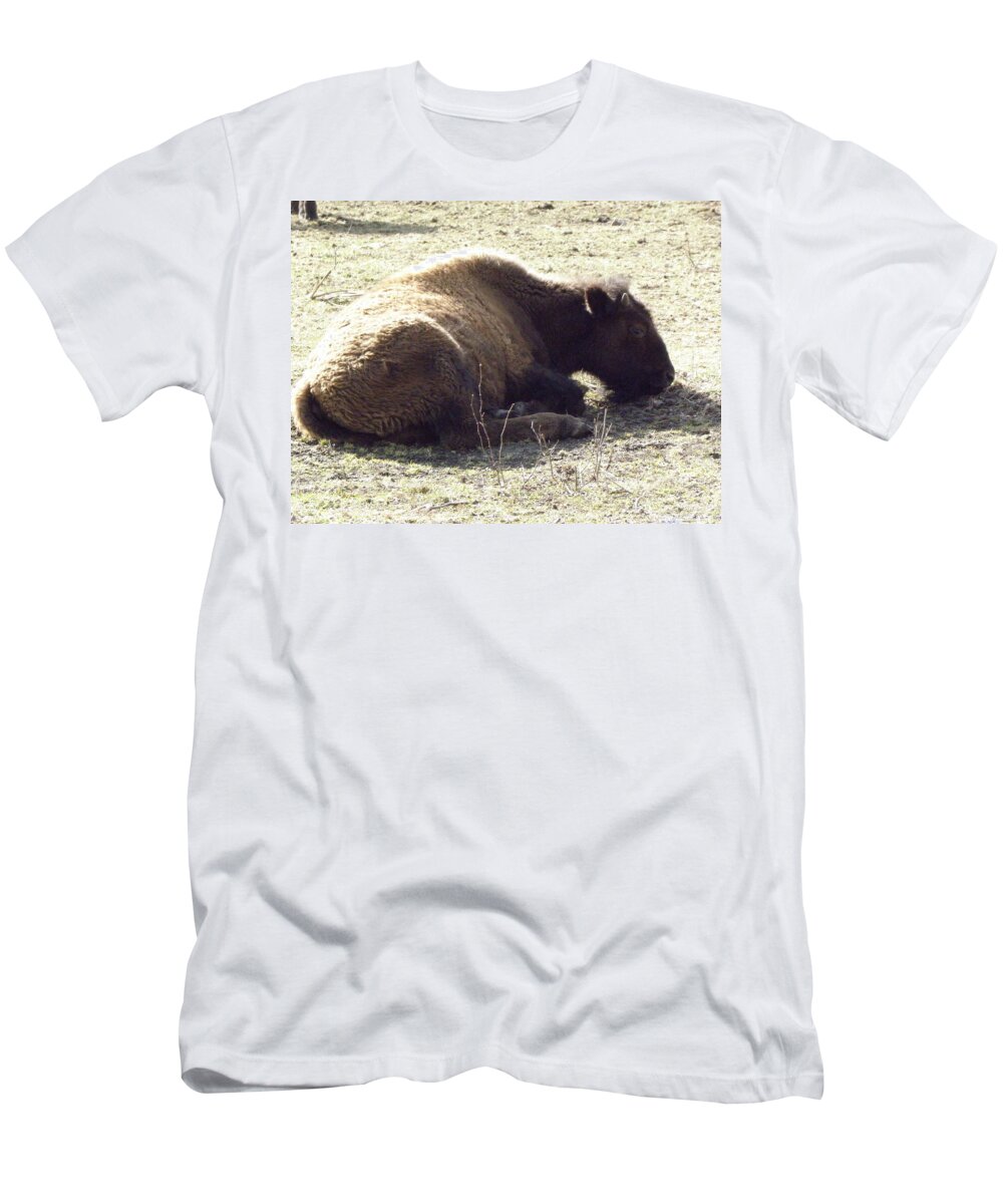 Baby T-Shirt featuring the photograph Baby Resting by Kim Galluzzo