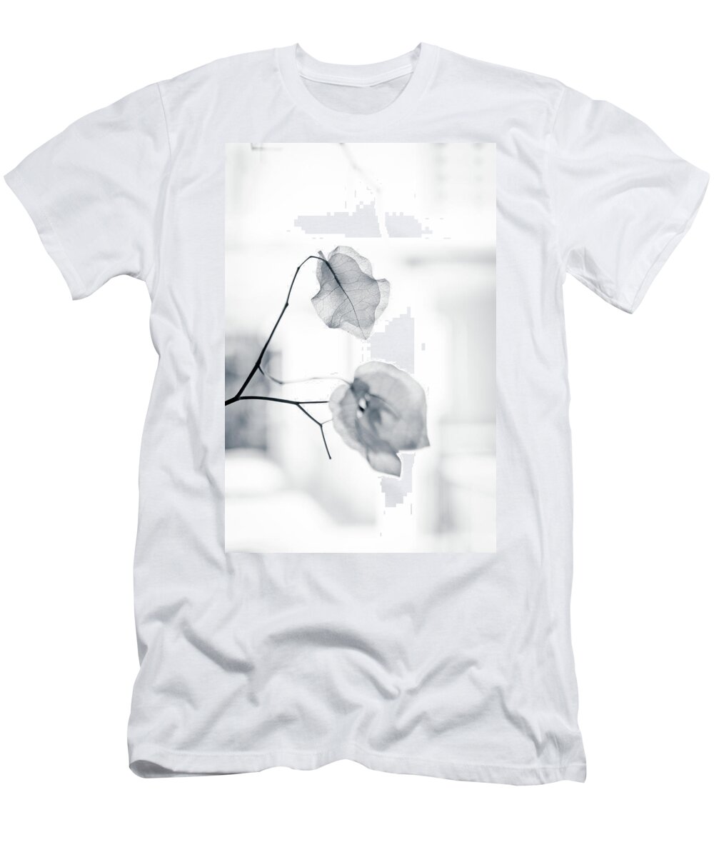 Bougainvillea T-Shirt featuring the photograph Bougainvillea - High-key lighting by Michael Goyberg