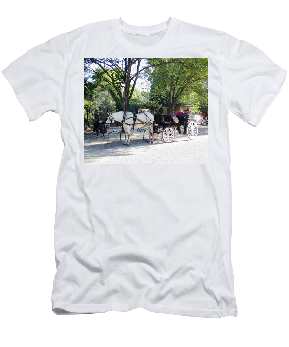 Olympia T-Shirt featuring the photograph Break Time by John Shiron