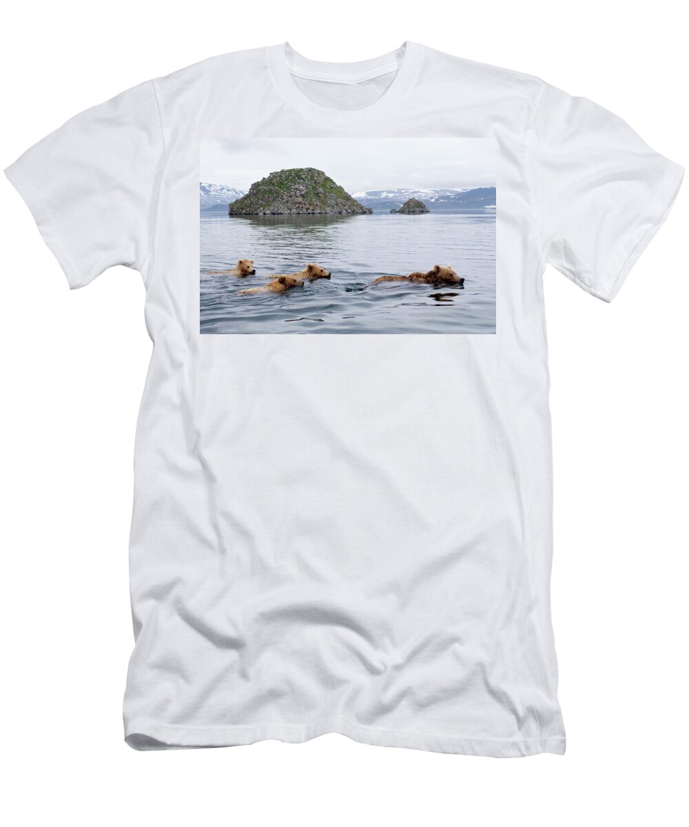 Mp T-Shirt featuring the photograph Brown Bear Ursus Arctos Mother by Sergey Gorshkov