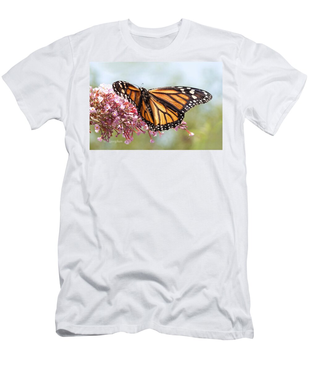 Butterfly T-Shirt featuring the photograph Butterfly Beauty - Monarch III by Regina Geoghan