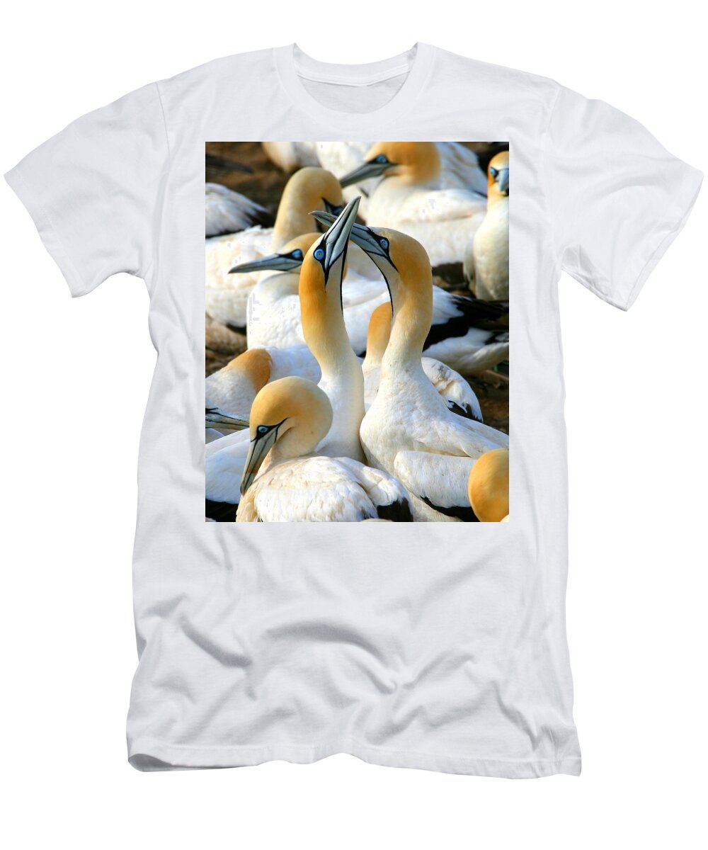 Gannet T-Shirt featuring the photograph Cape Gannet Courtship by Bruce J Robinson