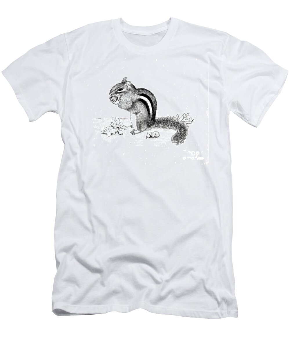 Chipmunk T-Shirt featuring the drawing Chipmunk by Jackie Irwin