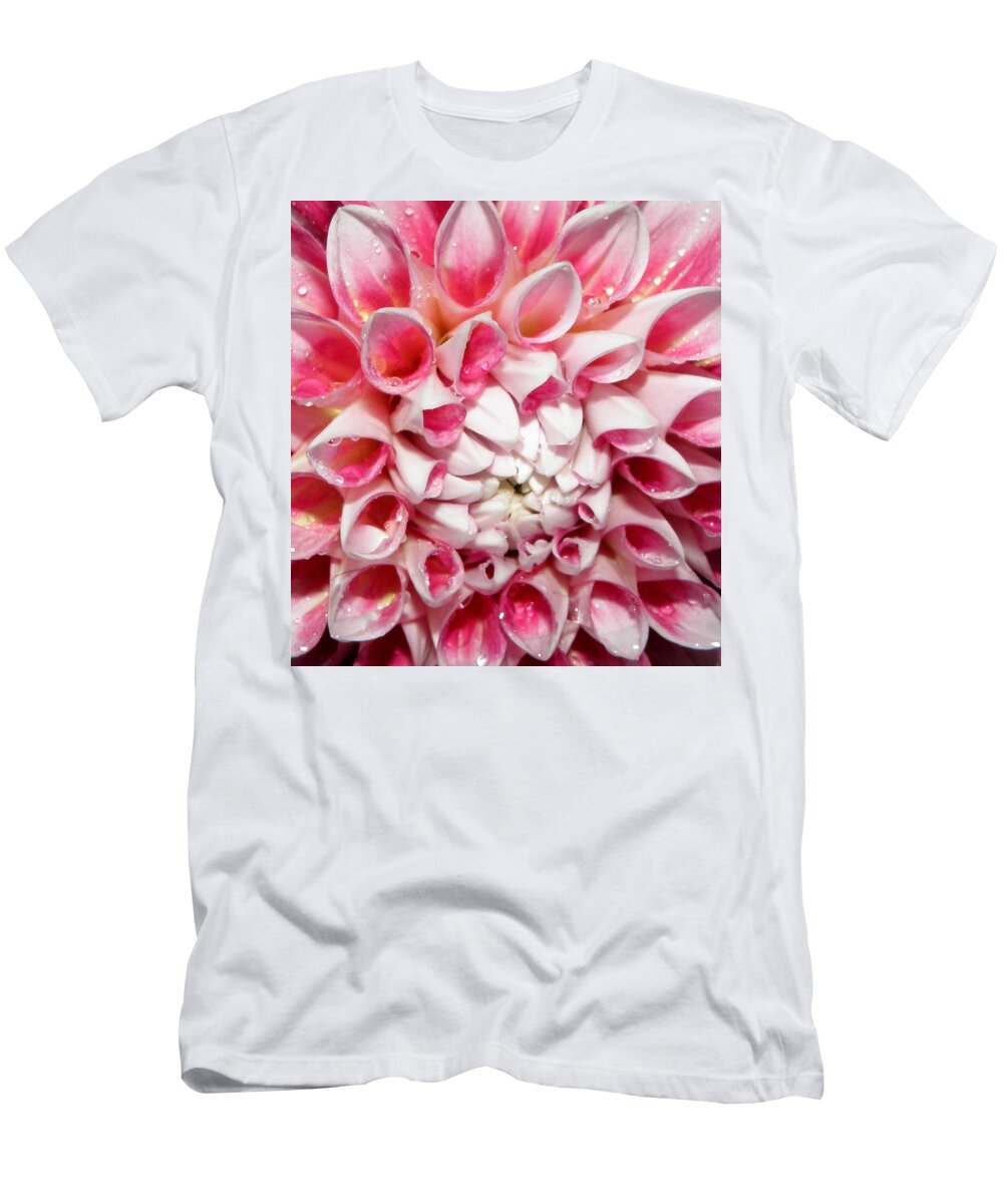 Dahlia T-Shirt featuring the photograph Dahlia by night closeup and personal by Kim Galluzzo