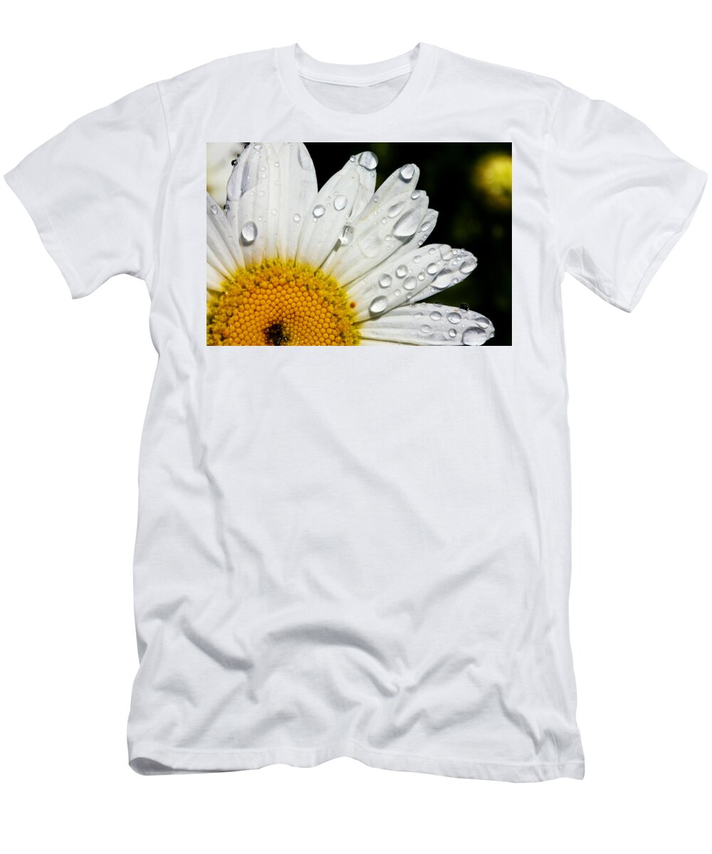 Floral T-Shirt featuring the photograph Daisy Drops by Rick Berk