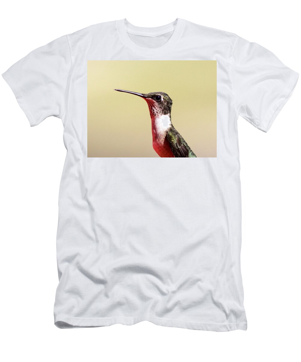 Hummingbird T-Shirt featuring the photograph Detail on Display by Travis Truelove