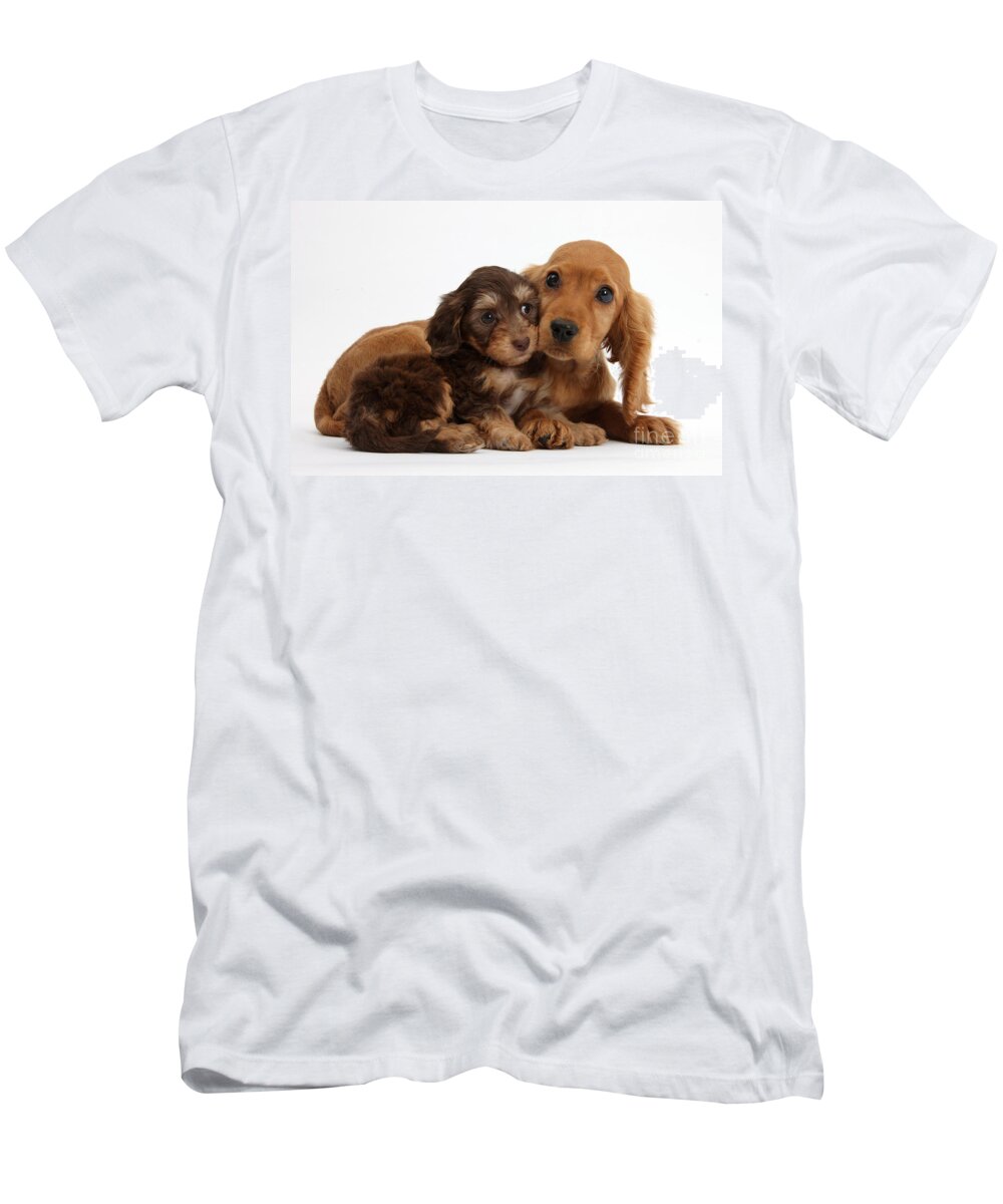 Animal T-Shirt featuring the photograph Doxie-doodle & Cocker Spaniel Pups by Mark Taylor