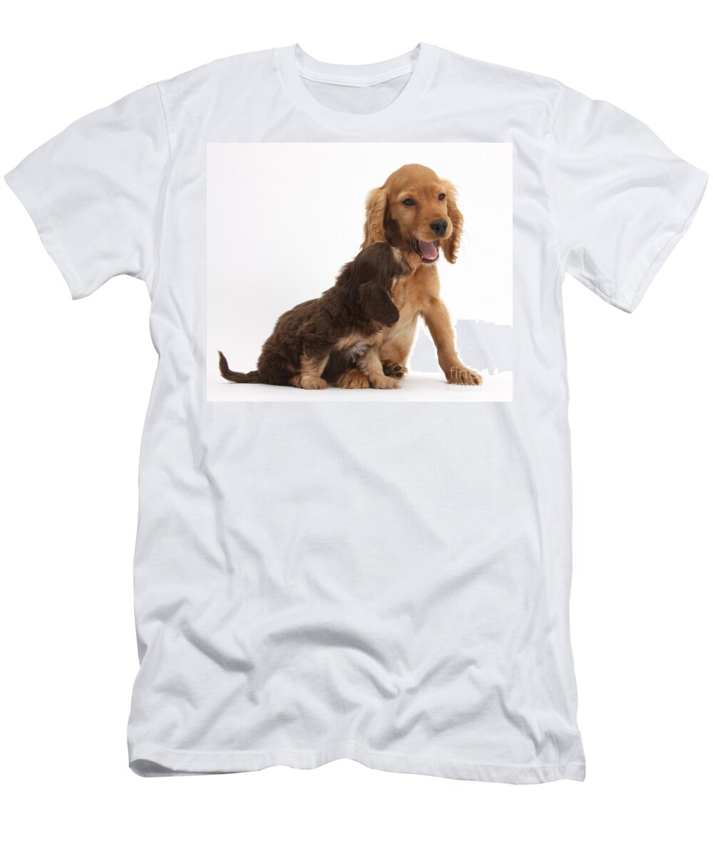 Nature T-Shirt featuring the photograph Doxie-doodle And Cocker Spaniel Puppy by Mark Taylor