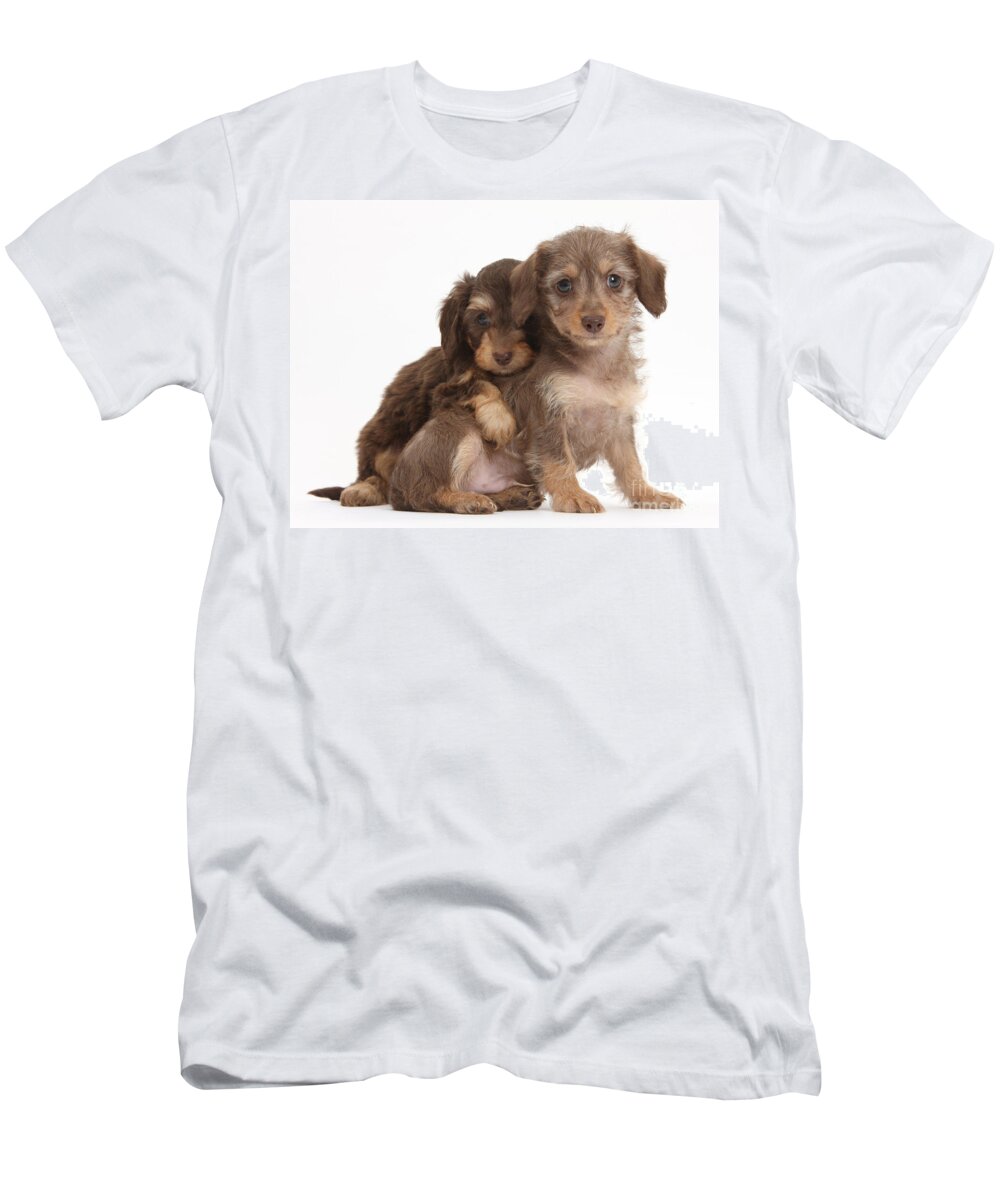 Animal T-Shirt featuring the photograph Doxie-doodle Puppies by Mark Taylor