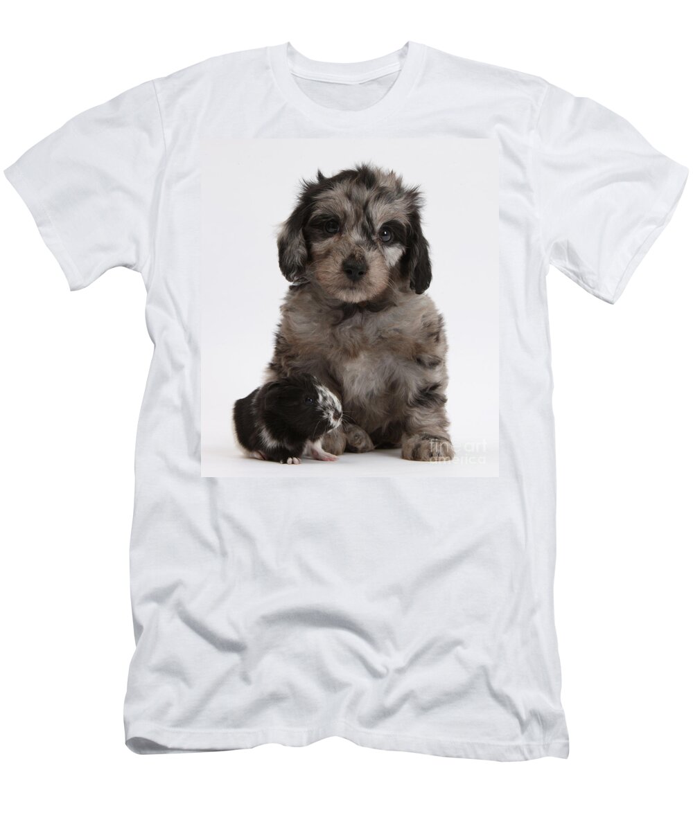 Nature T-Shirt featuring the photograph Doxie-doodle Puppy And Guinea Pig by Mark Taylor