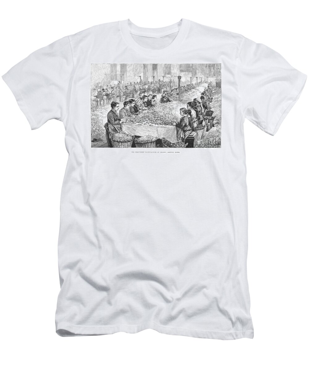 1891 T-Shirt featuring the photograph France: Perfumery, 1891 by Granger