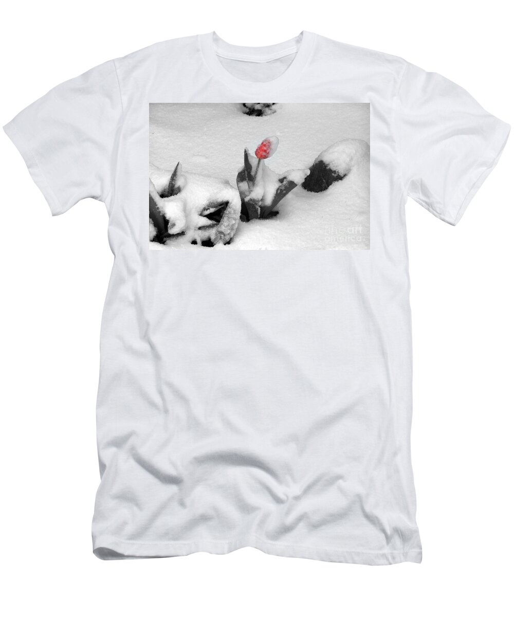 Tulips T-Shirt featuring the photograph Frosted Pink by Dorrene BrownButterfield